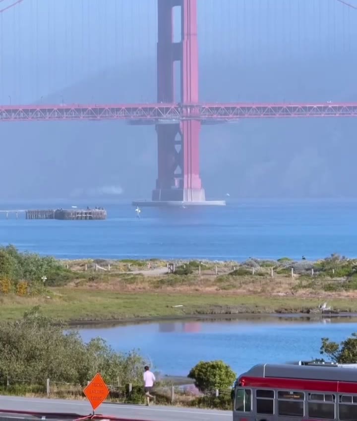 The Golden Gate Bridge in morning fog behind the flower beds at Presidio Tunnel Tops